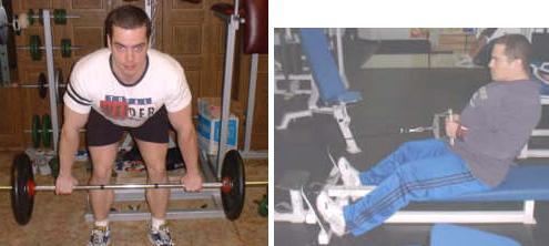 Bent Over Barbell Row & Seated Cable Row